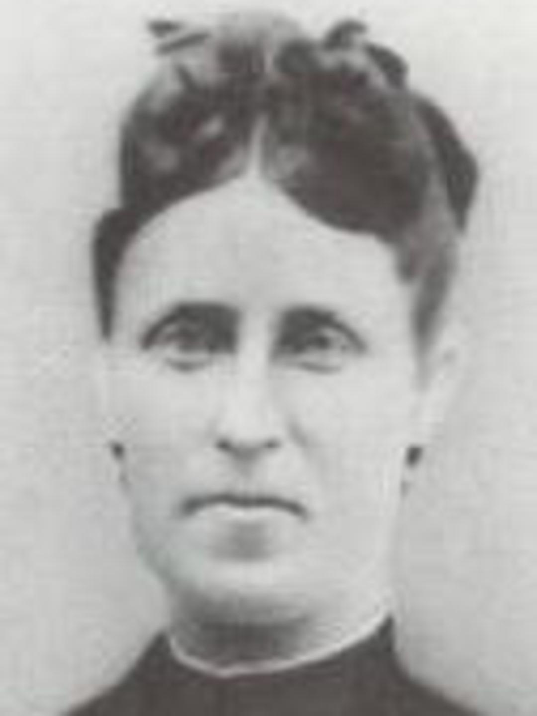 Mary Elmira Miller (1843 - 1882) Profile